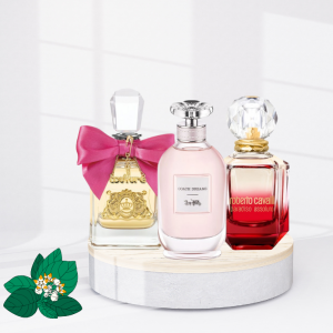 Women's Soft Set - 3 Pieces