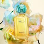 تستر شوبارد هابي شوبارد ليمون دولتشي