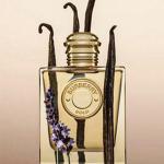 Tester Burberry Gold EDP