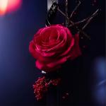 Tester Lancôme La Nuit Tresor A La Folie L'Eau